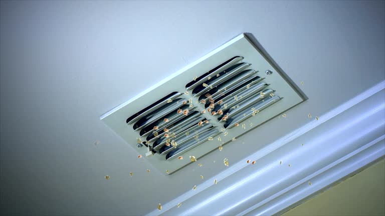 Best Best Air Duct Cleaning Company  in Kirbyville, TX